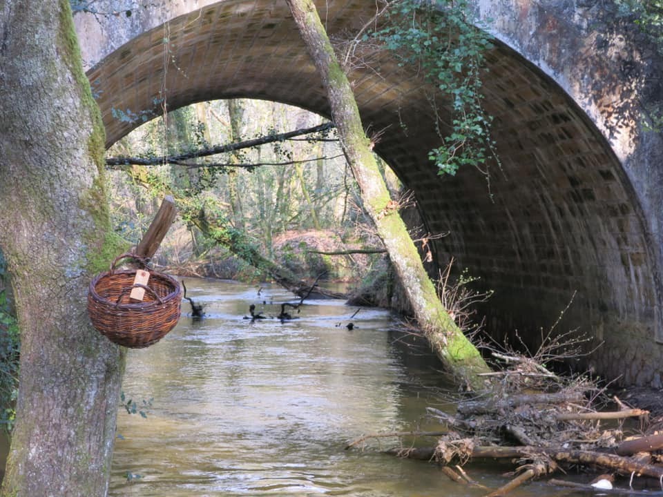 Corbelha