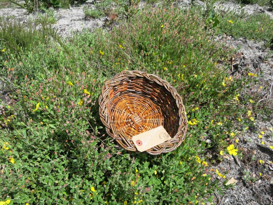 Petita corbelha a bòrd trenat